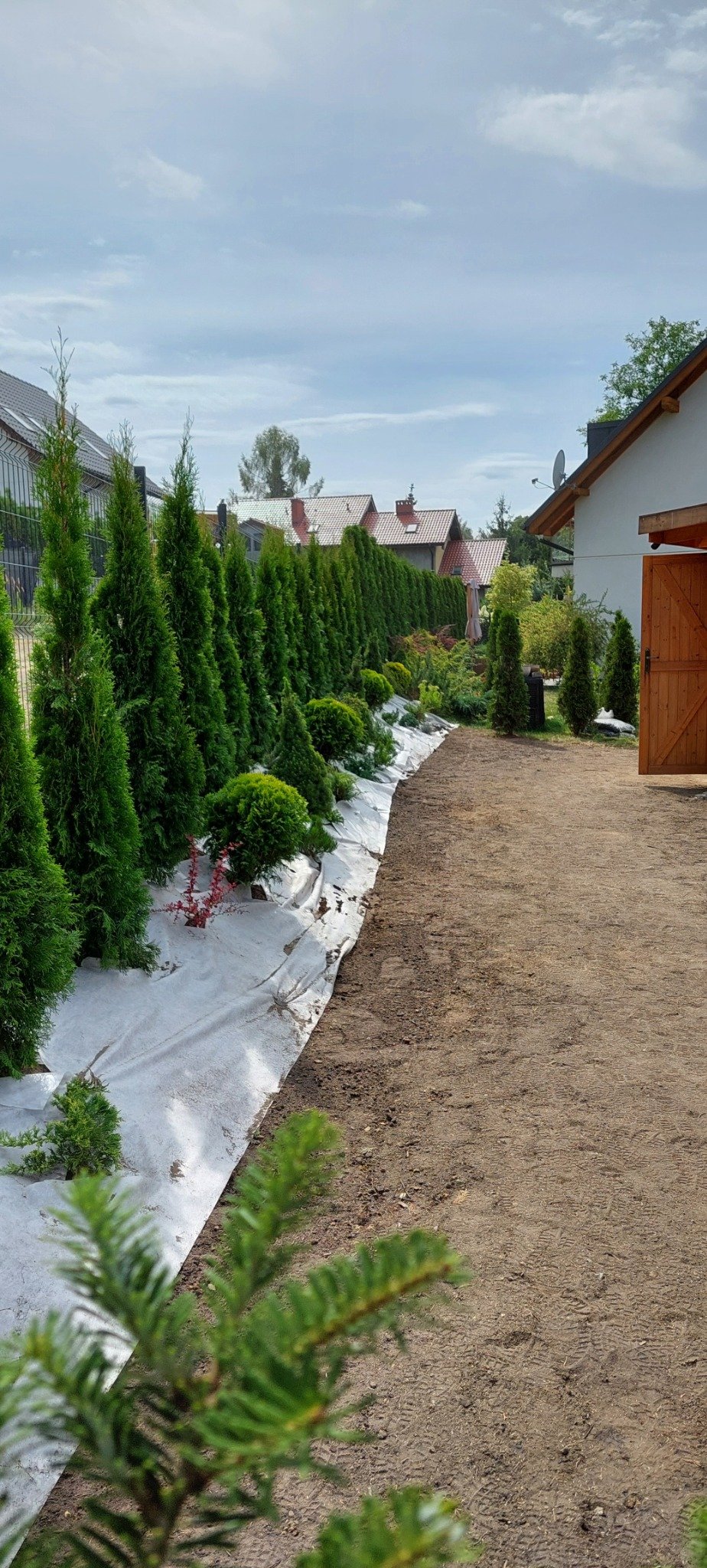 1726401082481 crop 1000015973