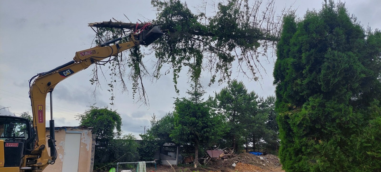 1726401084649 crop 1000014596